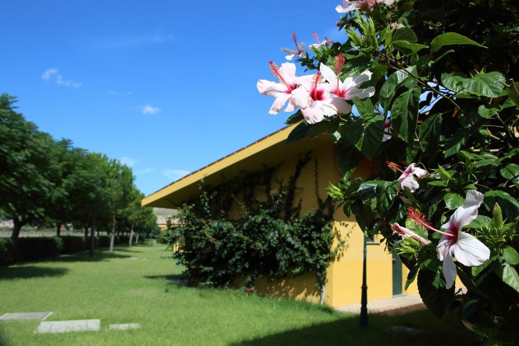 Marina Del Marchese Beach Resort Botricello Buitenkant foto